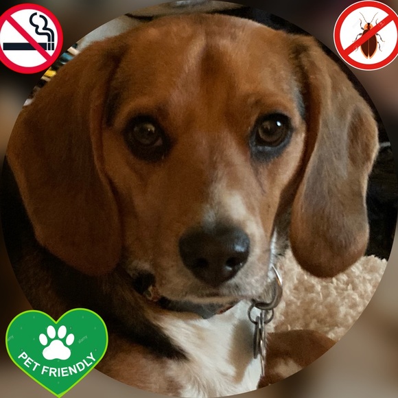 Vintage Authentic Chinese Mandarin Shirt Tunic Med - Picture 10 of 11